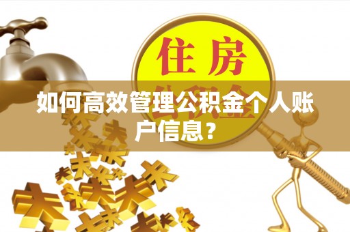 饶阳如何高效管理公积金个人账户信息？