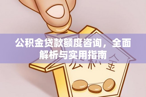 饶阳公积金贷款额度咨询，全面解析与实用指南