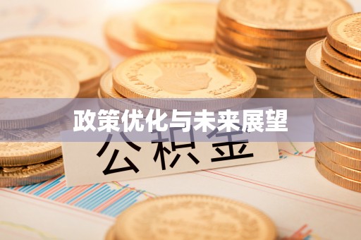 饶阳政策优化与未来展望