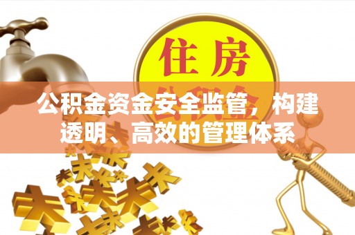 饶阳公积金资金安全监管，构建透明、高效的管理体系