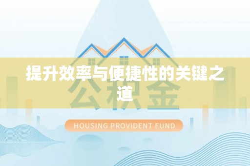 饶阳提升效率与便捷性的关键之道
