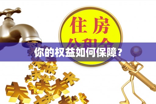 饶阳你的权益如何保障？