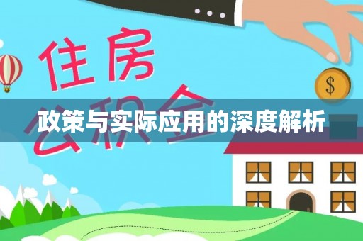 饶阳政策与实际应用的深度解析