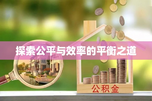 饶阳探索公平与效率的平衡之道