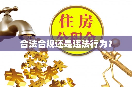 饶阳合法合规还是违法行为？