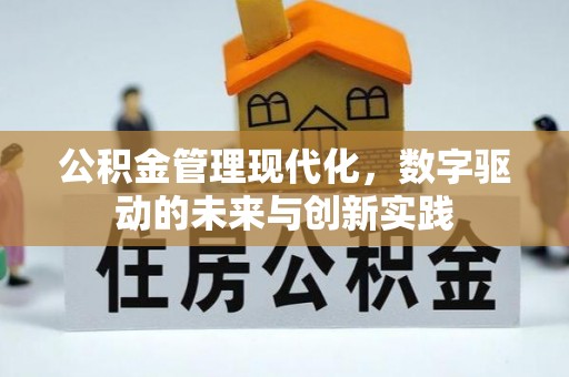 饶阳公积金管理现代化，数字驱动的未来与创新实践