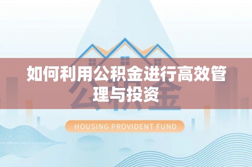 饶阳如何利用公积金进行高效管理与投资