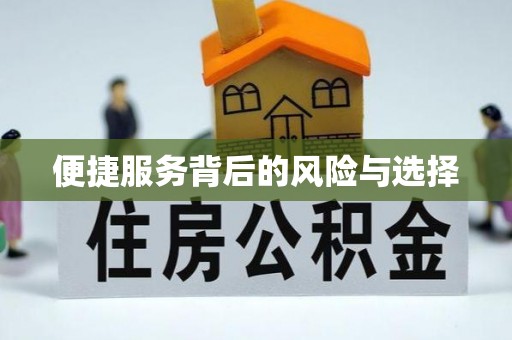 饶阳便捷服务背后的风险与选择