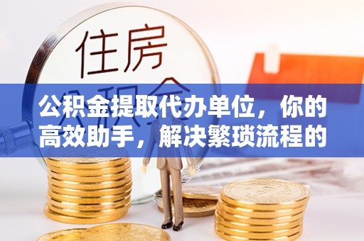饶阳公积金提取代办单位，你的高效助手，解决繁琐流程的不二之选