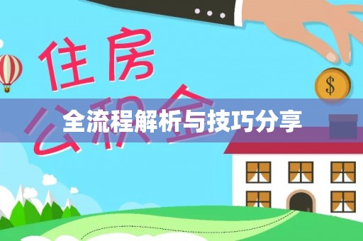 饶阳全流程解析与技巧分享
