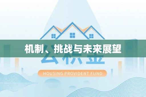 饶阳机制、挑战与未来展望