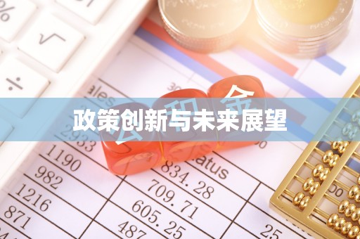饶阳政策创新与未来展望