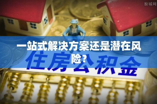 饶阳一站式解决方案还是潜在风险？