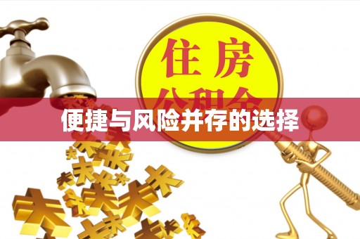 饶阳便捷与风险并存的选择