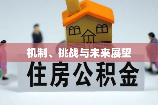 饶阳机制、挑战与未来展望